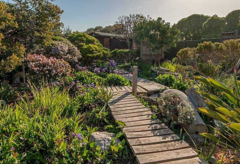 بنسيون Absolute Ocean Boutique Guesthouse