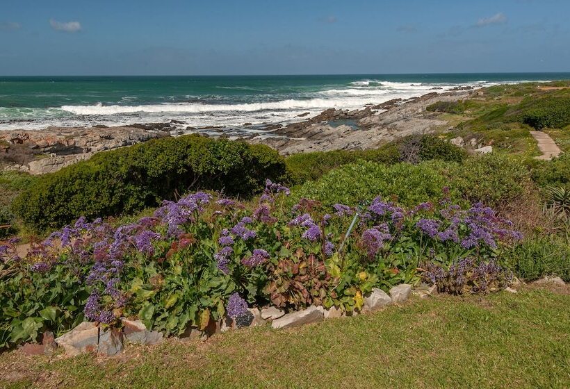 بنسيون Absolute Ocean Boutique Guesthouse