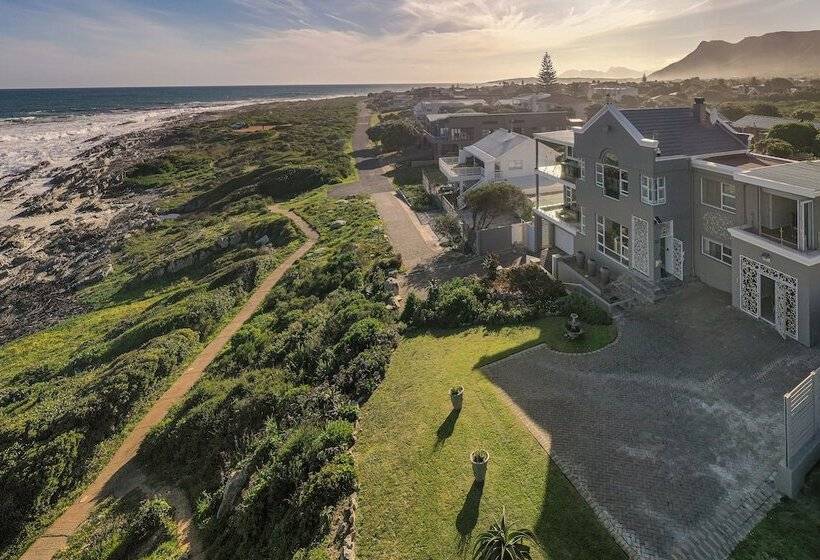 بنسيون Absolute Ocean Boutique Guesthouse