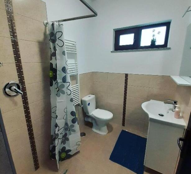 פנסיון Bucovina Inn