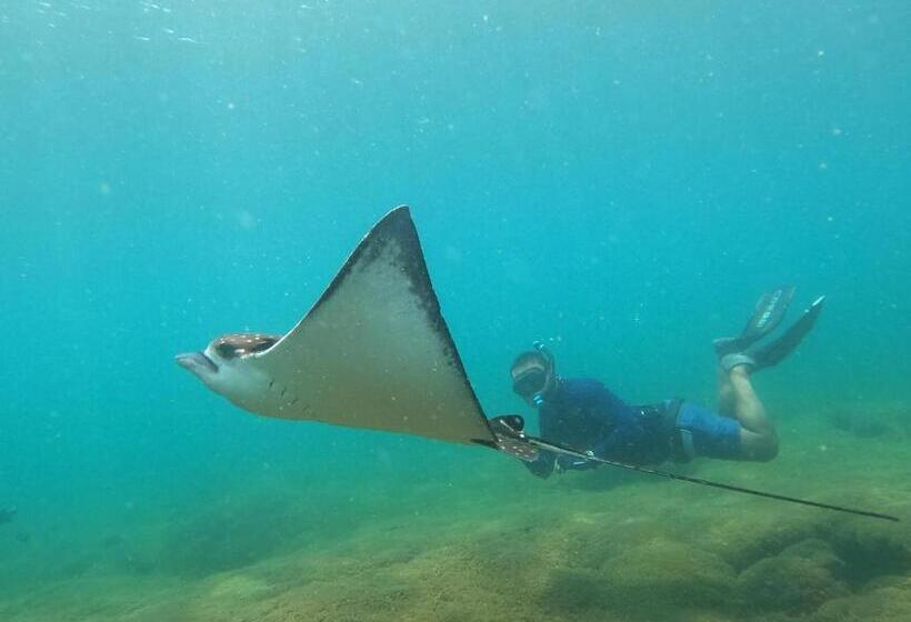 پانسیون Casa De Huéspedes Casablanca