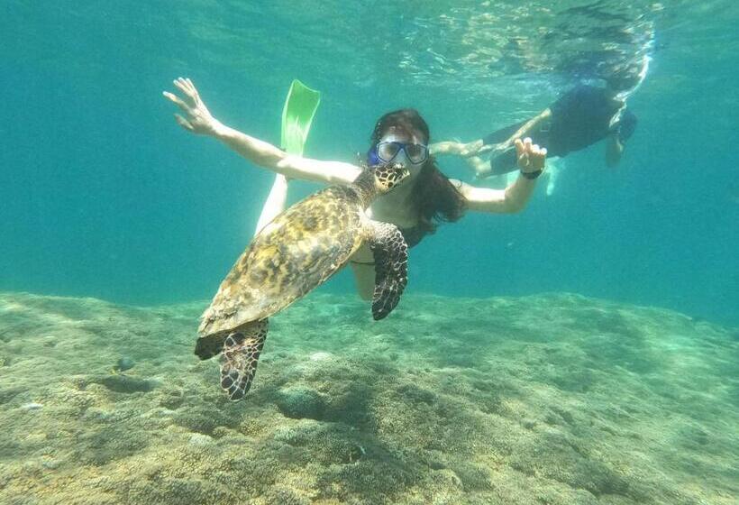 بنسيون Casa De Huéspedes Casablanca