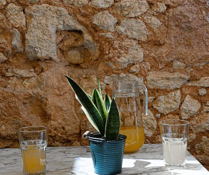 بنسيون Leevin Guesthouse