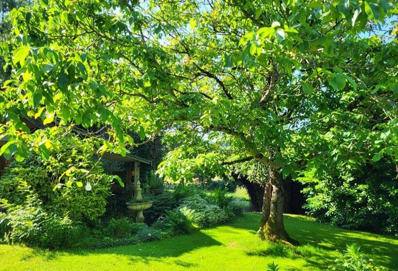 بنسيون Les Causeries Du Monde