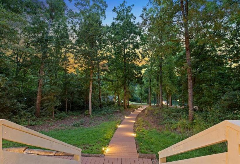 بنسيون Shipwrecked