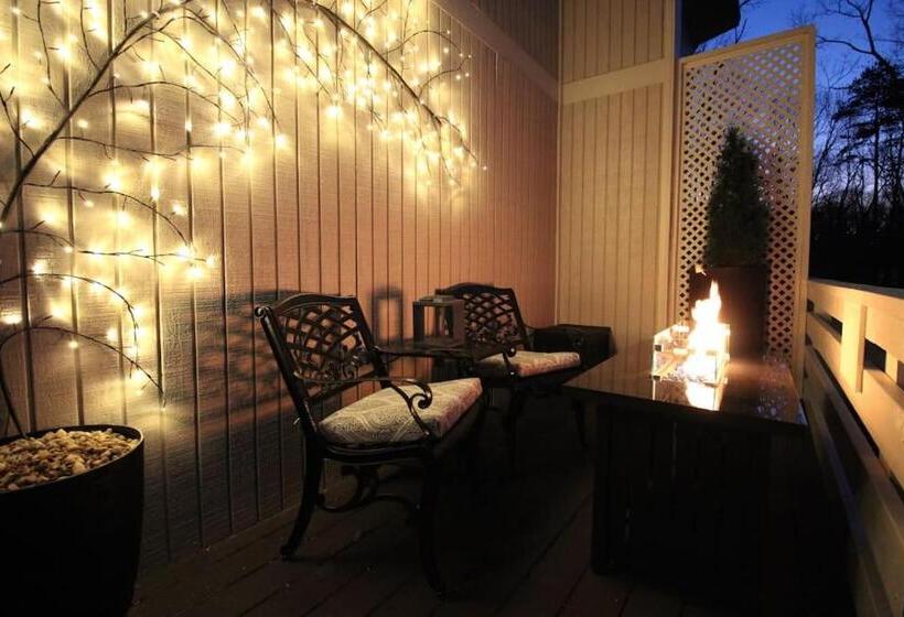 بنسيون Shipwrecked