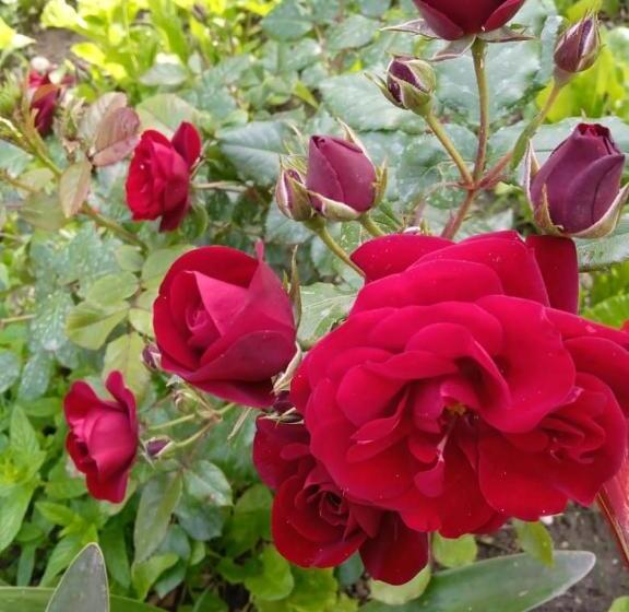 펜션 Guest Room Near Historical Center