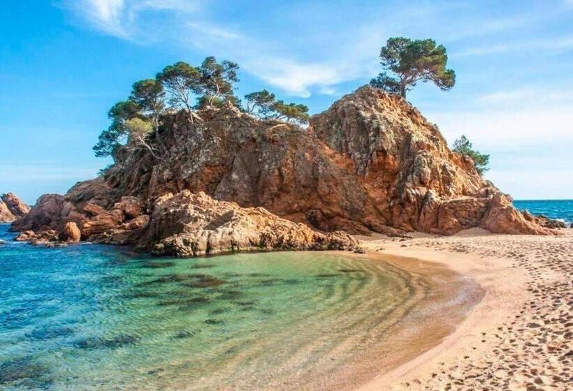 بنسيون Seaview Tiny House 1 Km Nach Platja D Aro Und Stränden