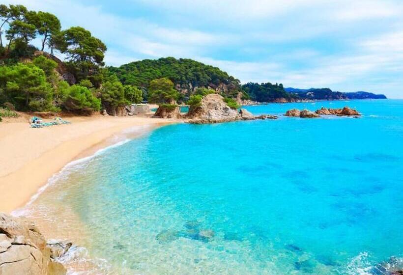 Пансион Seaview Tiny House 1 Km Nach Platja D Aro Und Stränden