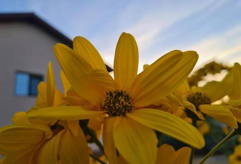 Piatra Rosie Pensiune Agroturistică