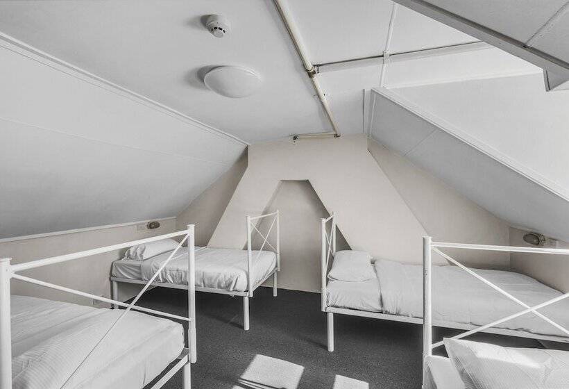 Общежитие Urban Nomad Potts Point