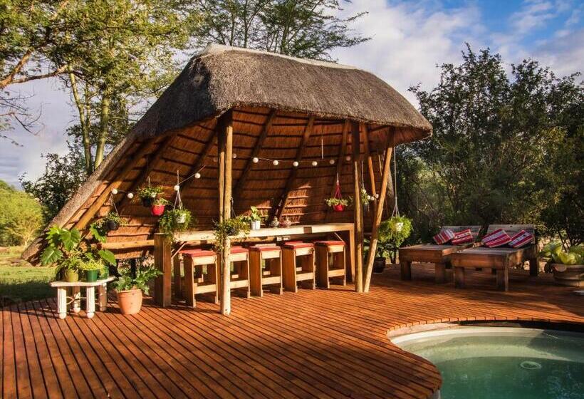 مبيت وإفطار Hasekamp Family Bush Lodge
