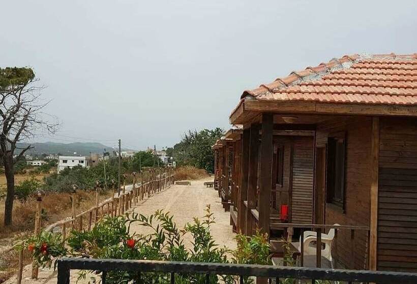 مبيت وإفطار Karpaz Farm Guest House