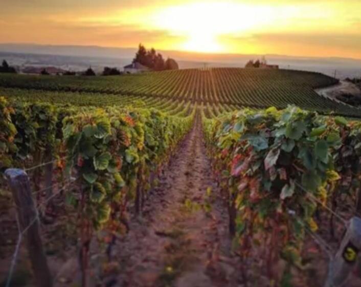 ベッドアンドブレックファースト Plaisir Des Sens