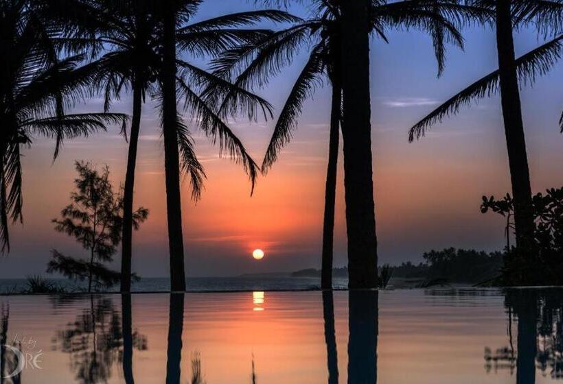 Bed and Breakfast Seagulls Garden Cabanas