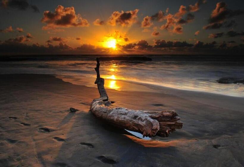 Bed and Breakfast Seagulls Garden Cabanas