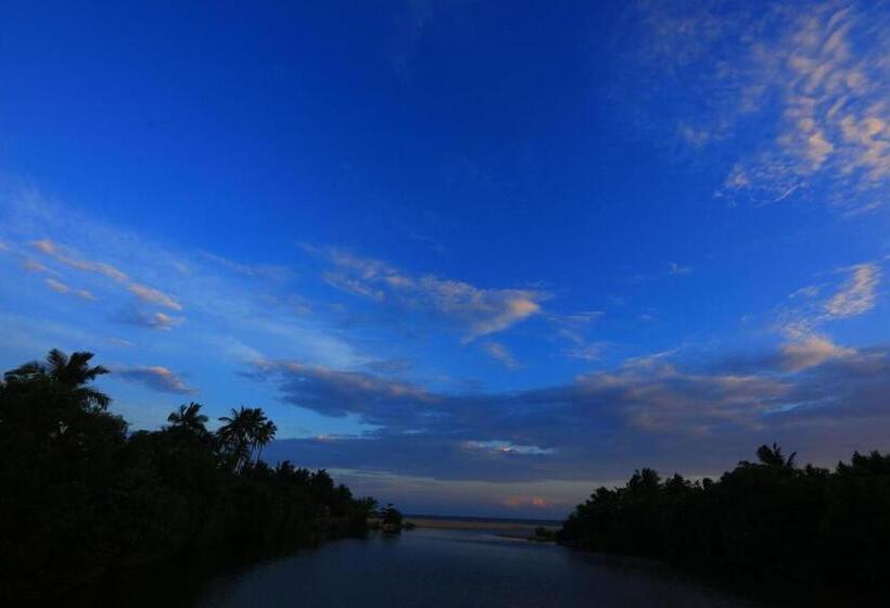 Bed and Breakfast Seagulls Garden Cabanas