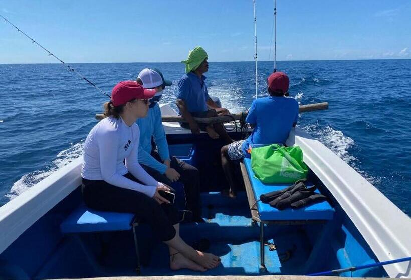 Bed and Breakfast Seagulls Garden Cabanas