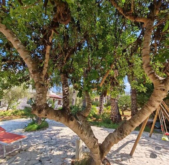 تختخواب و صبحانه Residence Il Carrubo