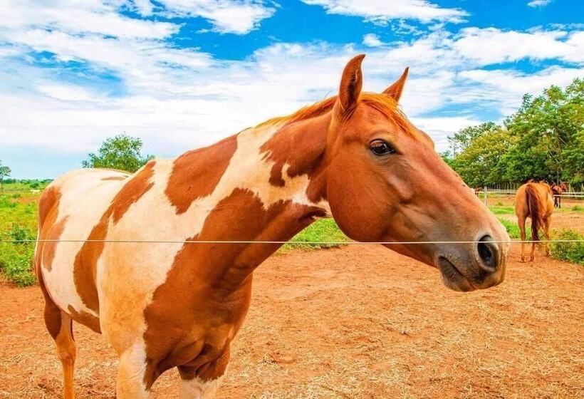 Botânico Hotel Fazenda E Spa