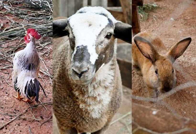 Botânico Hotel Fazenda E Spa