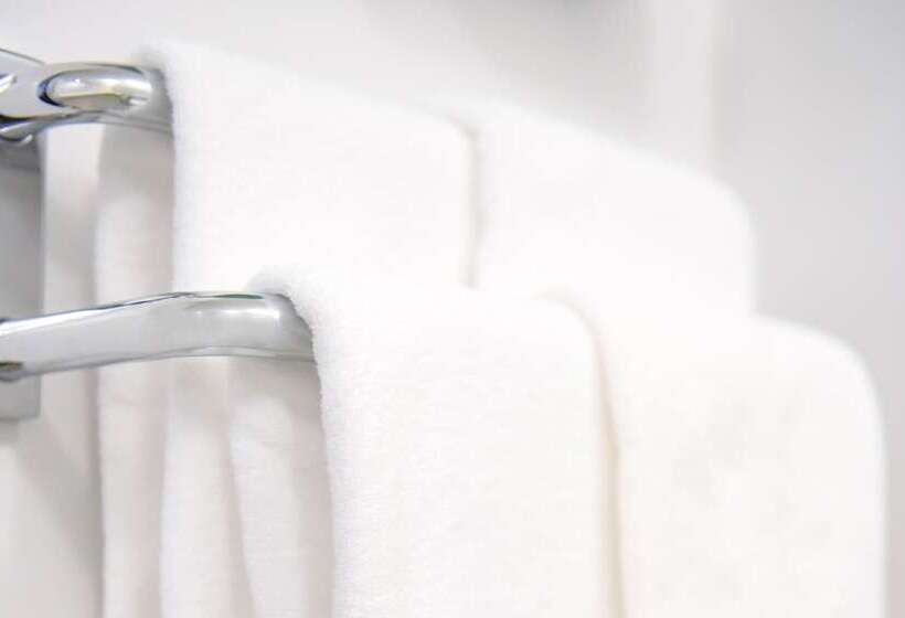 Business Hotel Mercury Royal Inn Group