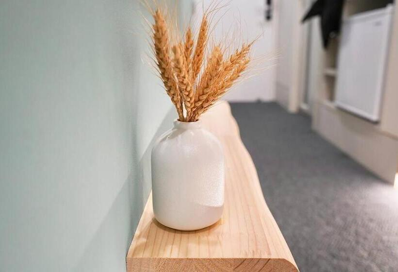 东京中心上野公园时尚设计师房间ycoc 上野公园3分钟 车站1分钟 超级繁华 免费wifi 戴森吹风