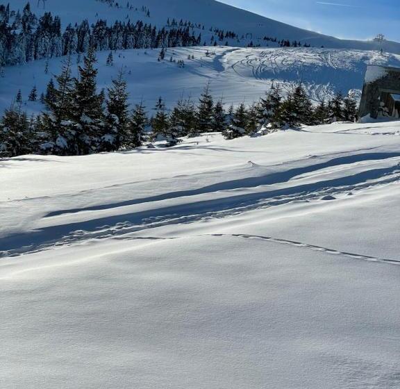 Hotelli горизонт