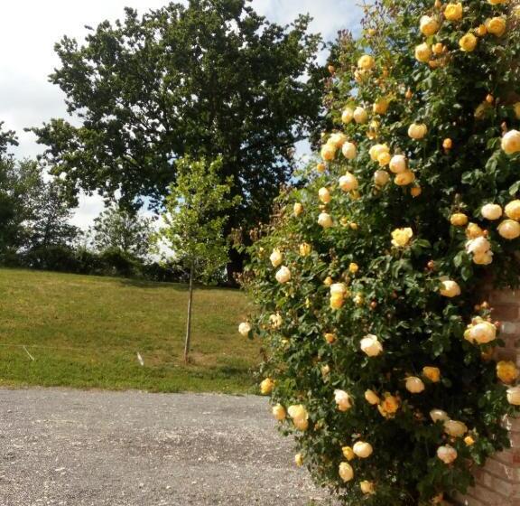 호텔 Agriturismo Ca  Preda