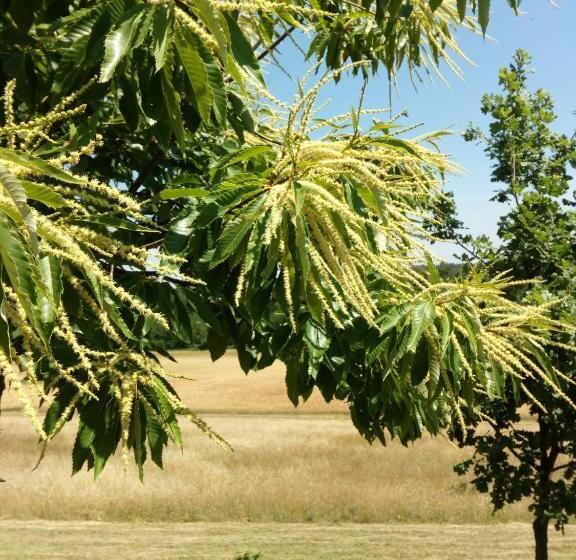 酒店 Agriturismo Ca  Preda