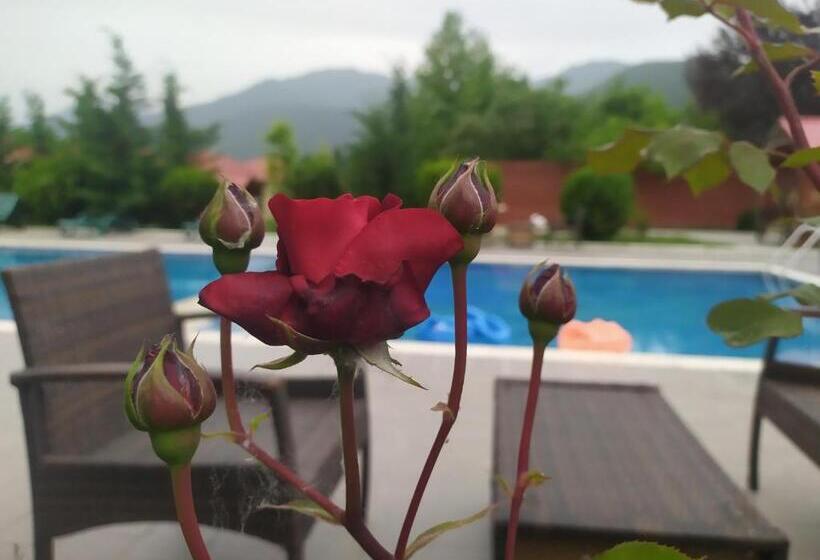 Gabala Bliss Inn Hotel And Restaurant