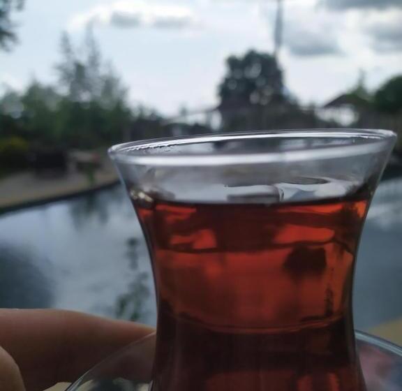 Gabala Bliss Inn Hotel And Restaurant