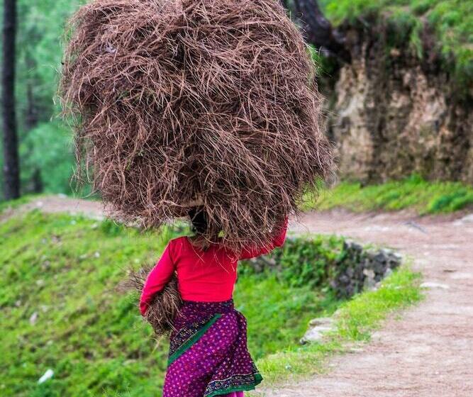 호텔 Binsar Eco Resort, Binsar Uttarakhand