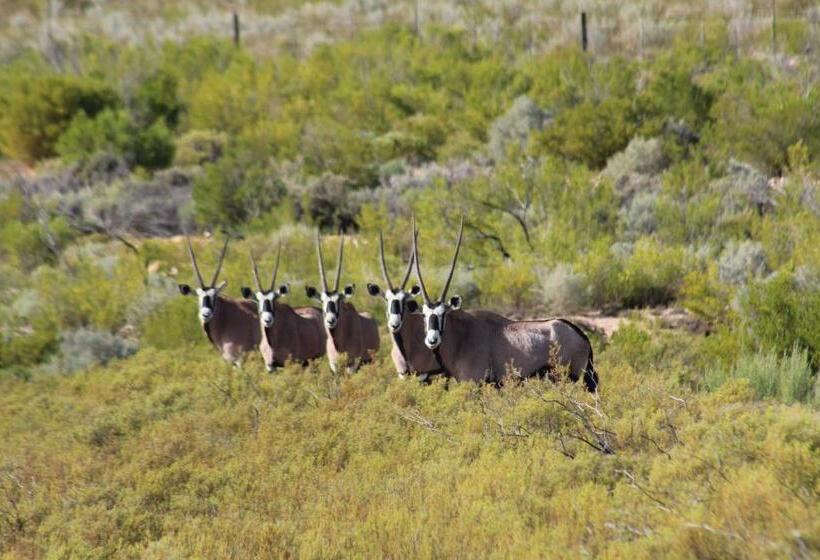 酒店 Breathe Accommodation