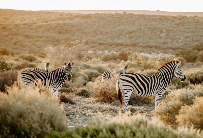 酒店 Breathe Accommodation