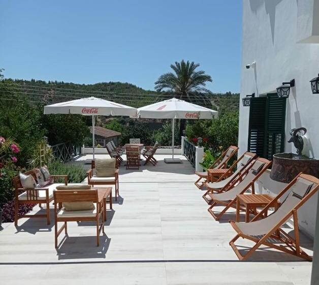 酒店 Dervise Mehmet Guest House