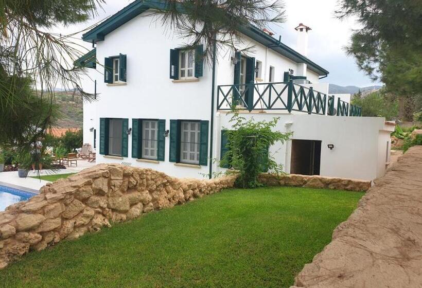 酒店 Dervise Mehmet Guest House