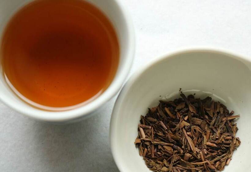 酒店 Glamping & Port