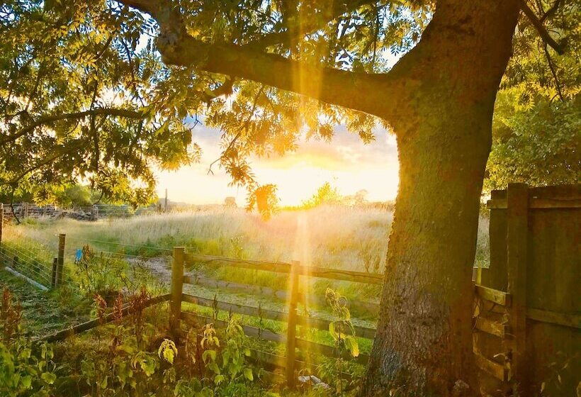 Отель Gratton Grange Farm Bed & Breakfast