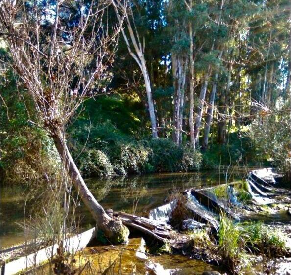 ホテル La Buhardilla De Torrecillas