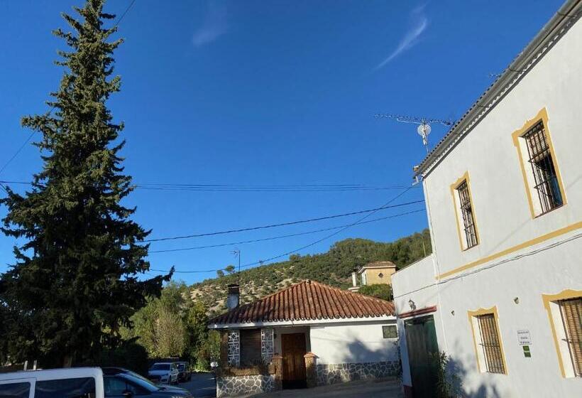 ホテル La Buhardilla De Torrecillas