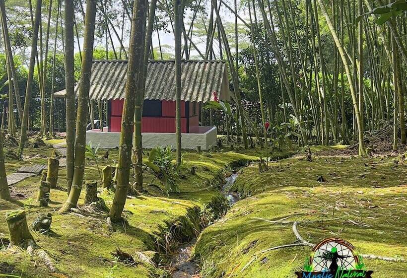 酒店 Mystic Natural