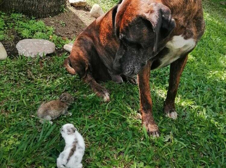 酒店 Mystic Natural