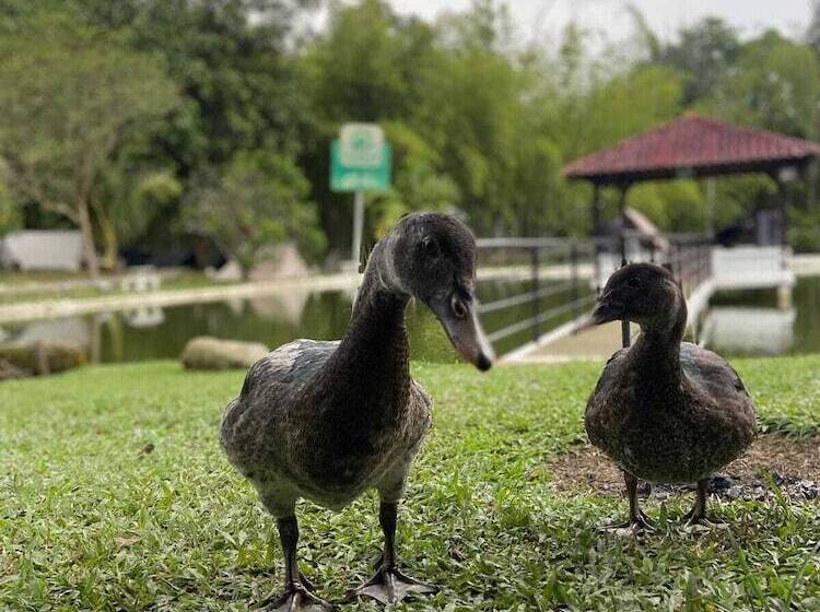 酒店 Mystic Natural