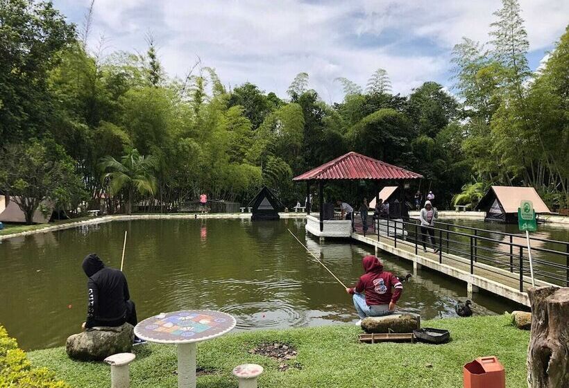 酒店 Mystic Natural