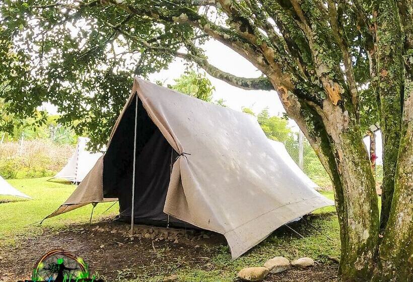 酒店 Mystic Natural