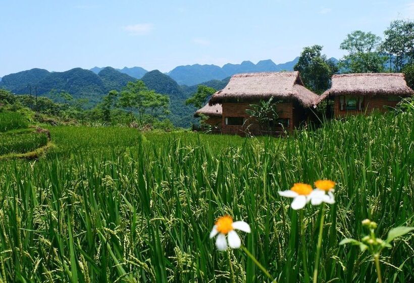 هتل Pu Luong Jungle Lodge