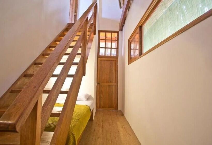 호텔 Soleil Bungalows