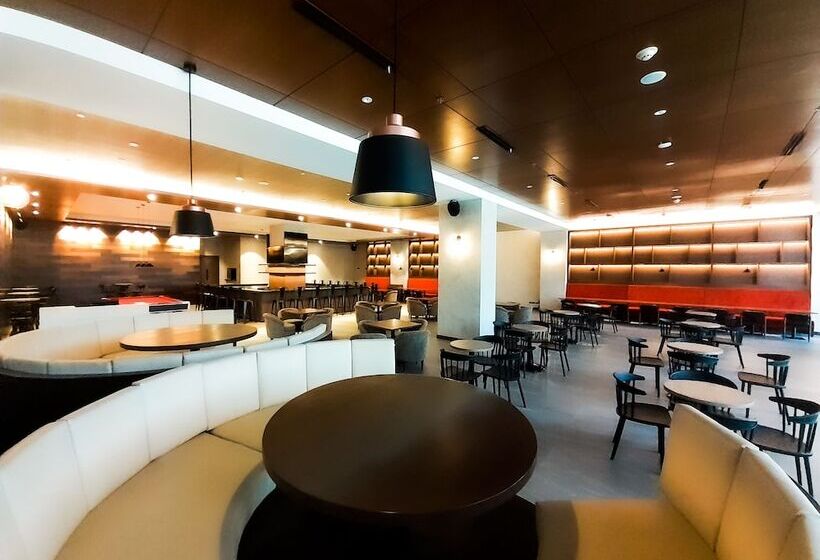 酒店 The Excelsior