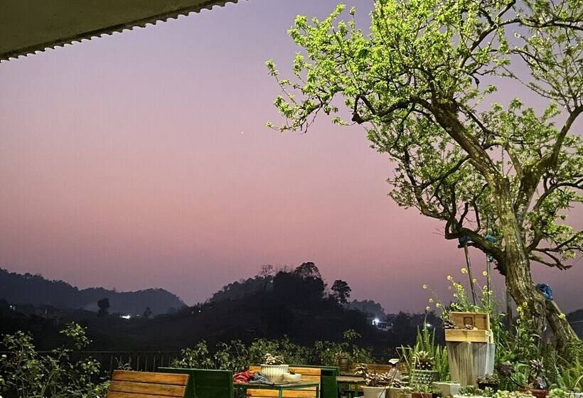 هتل Vigolando Van Ho Resort